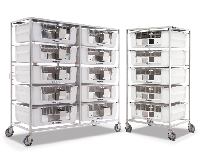 IVC housing for Guinea Pig