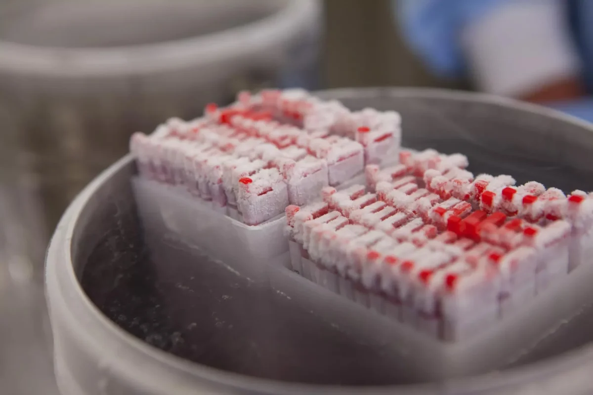 Mouse Cryopreservation