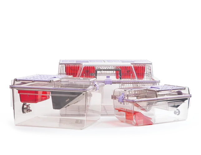 Elevated Enrichment Lofts