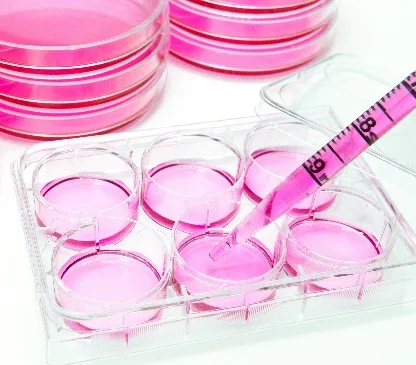 BPS Bioscience Chemicals