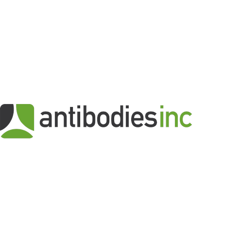 logo-antibodies-incorporated-120h_d34bd4cb-d101-4e53-ad34-ad78ed009771_300x@2x_new